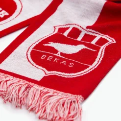 Szalik – Polska mistrzem Polski